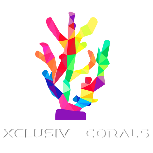 xclusivecorals