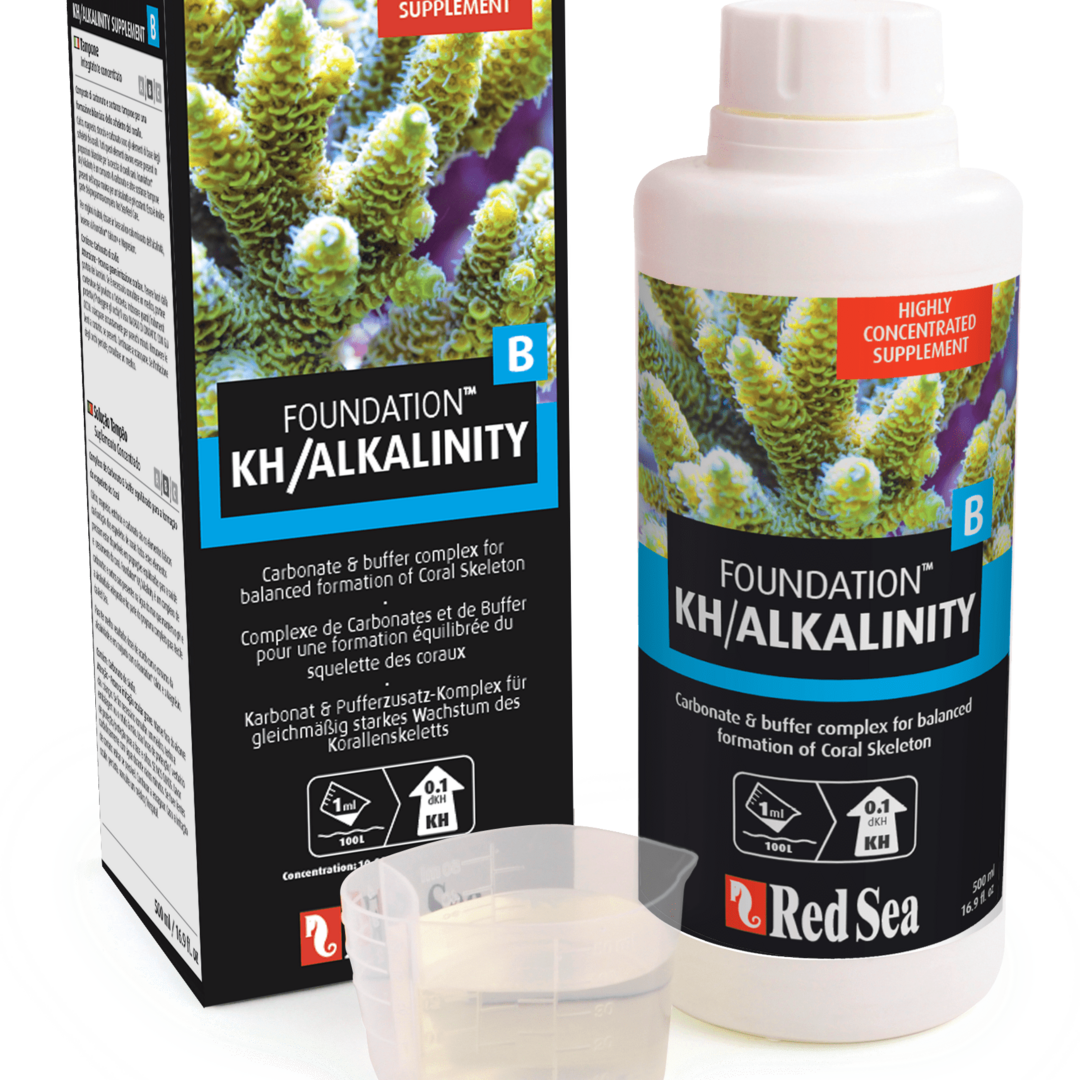Red Sea Foundation KH